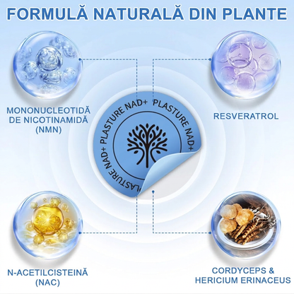 Plasturel® NAD+