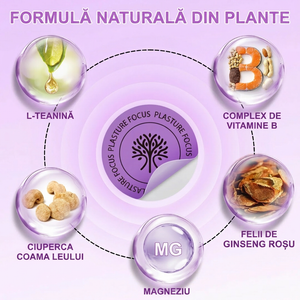 Plasturel® Focus — verso